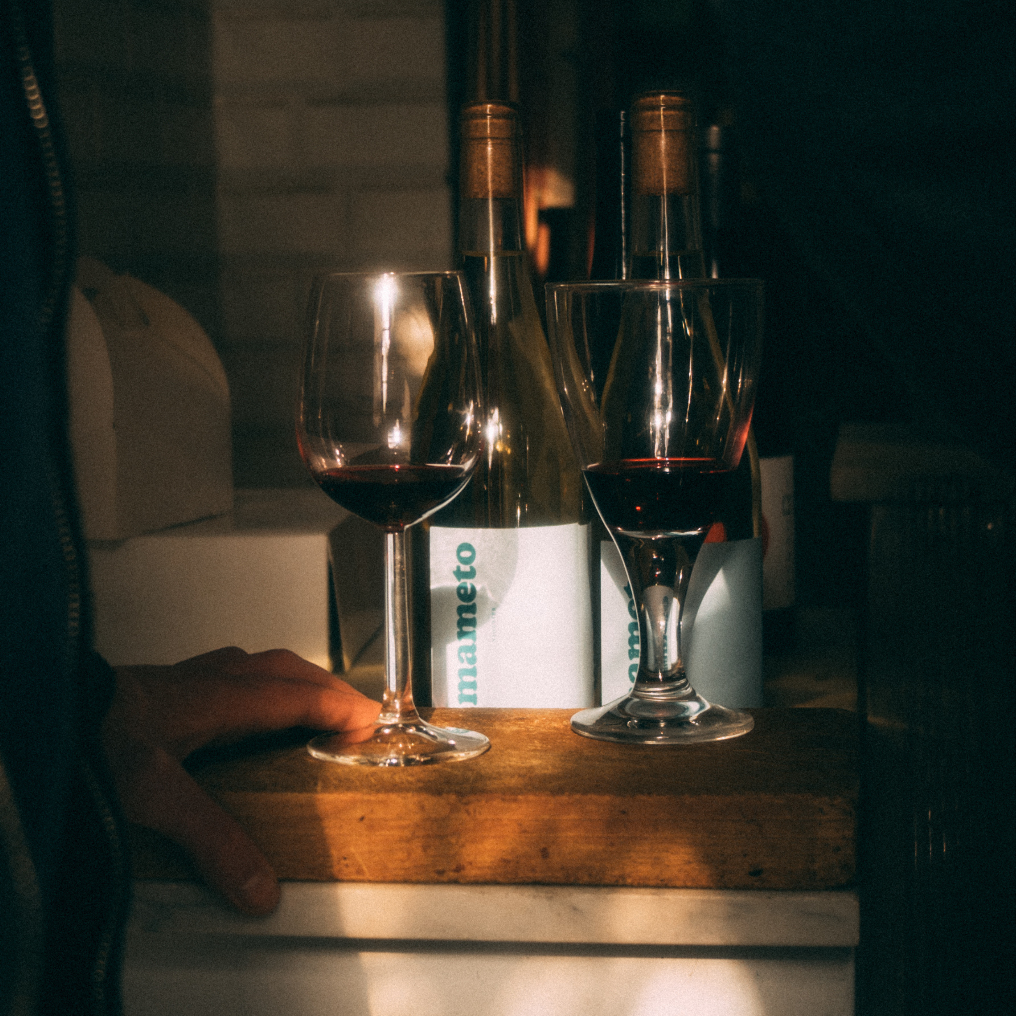 Our New Wines
